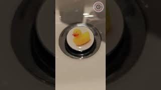 DIY Cute sink cover with a duck - Test after installation #fun #family #diy #duck