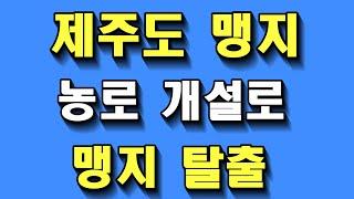 제주도 맹지- 농로 개설로 맹지 탈출