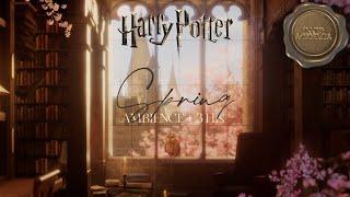 Spring at Hogwarts Library Ambience ˖° Harry Potter ASMR Study Ambience + Music