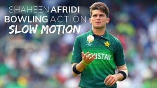 Shaheen Shah Afridi Bowling Action Slow-Motion