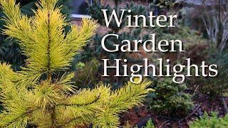 Winter Garden Highlights