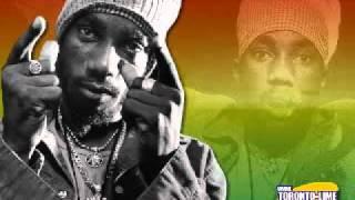 Sizzla feat. Capleton - The Vibes