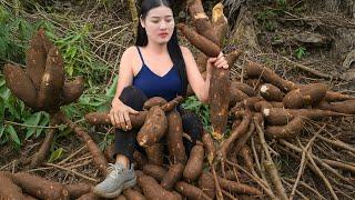 Simple Life in the Countryside | Cassava Harvest, Farm Cooking & Animal Care | My Daily Life