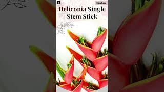 Artificial Heliconia Single Stem Stick | Home Decor | Business Decor | Shop online @shop.eikaebana