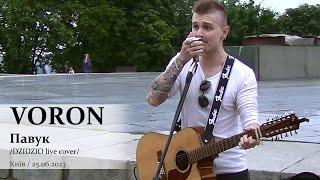 VORON. Павук (DZIDZIO live cover). Київ, 25.06.2023. @VoronSinger