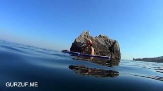КРЫМ : ГУРЗУФ : ЧЕРНОЕ МОРЕ : ФАУНА ФЛОРА : КАЯК