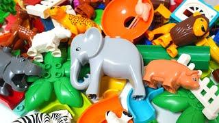 Satisfying Building Blocks Marble Run ASMR Gather! Popular animal marble coaster