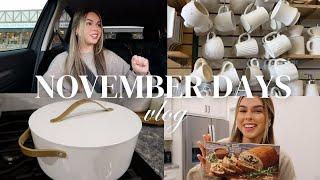 NOVEMBER DAYS | dying my hair, thanksgiving prep, painting mugs, black friday shopping + more!