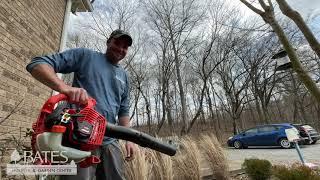 How to Prune Annabelle-type (arborescens) Hydrangeas