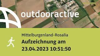 Interaktives 3D Video: Aufzeichnung am 23.04.2023 10:51:50