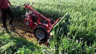 grass cutter machine