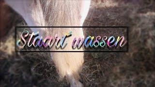 staart wassen /Cowboy magic/