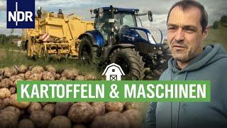 Kleine Knolle, große Maschinen - Kartoffelernte in NDS | Die Nordreportage | NDR