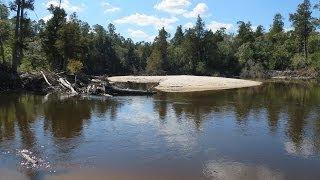 Blackwater River - Part 2 - Kayak Trip