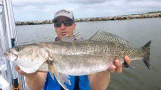 MONSTER SPECKLED TROUT Fishing a JETTY - Multiple Trophy Trout