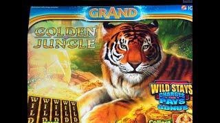 Golden Jungle slot machine my favorite game.