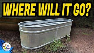 Transport Evolved Chicken and Garden Update: Should We Move These Tubs?