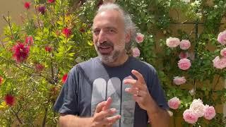 Stefano Bollani parla di Terence McKenna, autore de LO SCENARIO INVISIBILE