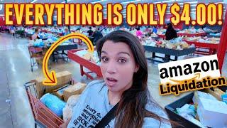 Amazon Liquidation Bin Digging! Everything is ONLY $4!