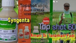 Herbisida tanaman padi topshot dari syngenta