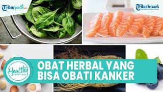 Unik! Inilah Obat Herbal yang Bisa Obati Kanker Usus Hanya di Rumah Kunyit hingga Bawang Putih