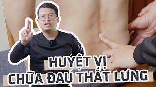 5 huyệt vị quan trọng để ngăn ngừa và giảm đau thắt lưng