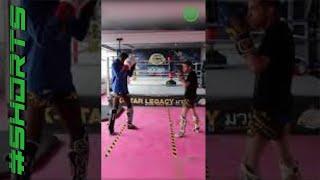 How to Question Mark Kick for Knockouts in Muay Thai with Damien Trainor