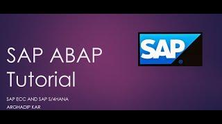 SAP ABAP: How to Debug a Business Object Method in SAP? Tcode SWO1-Business Object-Execute