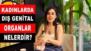 Kadınlarda Dış Genital Organlar - Op. Dr. Burcu Akdağ Özkök & Murat Çuhadar