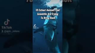 10 Extinct Animals That Scientific Are Trying To Bring Back ️ #short #epicvideo #fyp #epicclips