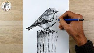 | رسم | رسم عصفور | Arts Academy HD | how to draw a bird | Cómo dibujar  pájaro | tutorials drawing