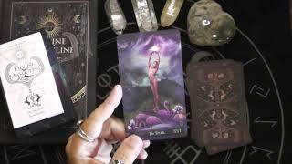 Unboxing: Tarot of the Divine Masculine