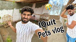 i Quit Pets vlog  Mere Sare Pets Chori Ho Gay  No More Video