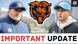 Vegas FAVORS BEARS for Ben Johnson + McCarthy's BIG Day w/Bears & New Favorite? Bears News & Update