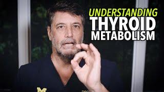 Ep:51 Understanding Thyroid Metabolism - by Dr. Rob Cywes the #CarbAddictionDoc