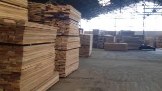 Beech lumber factory  - checking qualitty