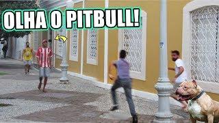 PEGADINHA : OLHA O PITBULL - MANDE A SUA #76