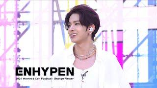 'Orange Flower' Stage Cam @ AliExpress 2024 Weverse Con Festival - ENHYPEN (엔하이픈)