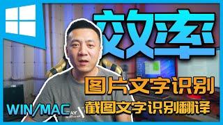 截图文字识别|划词翻译|系统必备效率工具(2020)|WIN/MAC|