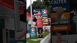 Cute Caltex mascot