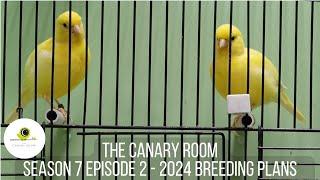 The Canary Room Season 7 Episode 2 - Fife Canary Breeding plans part 1