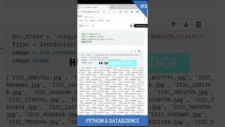 Урок 16. Пайтон программирование с нуля, Python видео уроки для начинающих #python #datascience