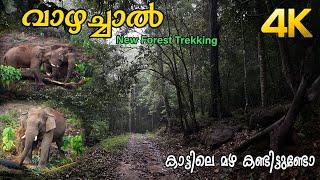 Vazhachal Trekking 4K