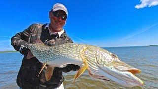 Canada Fishing Guide Episode 1 - Athabasca Giants!