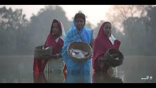 Successful initiatives of women-led fish farming: Towards a resilient & promising livelihood (Hindi)