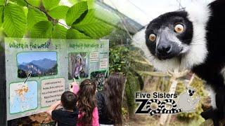 VLOG : Visit Five Sisters Zoo in Scotland #visitscotland #rescueanimals