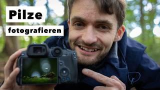 PILZE fotografieren | Workshop Naturfotografie