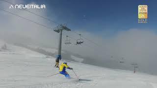 Neveitalia carving ski 2019-2 AR