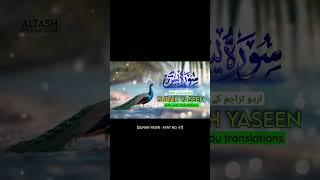 Kuffaar Waala Kaam Full Video Uploaded - Surah Yaseen ️ #shorts #islam#surah #yaseen #surahyaseen