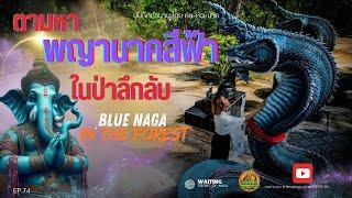 คน หัว นาค ตามรอยพญานาค EP.74 ตามหาพญานาคสีฟ้า กลางป่าลึกลับ  BLUE NAGA  IN THE FOREST